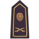 Military Officer Epaulettes And Shoulders Pair In Gold Wire