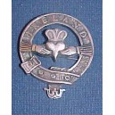 Metal Ireland Cap Badge In Brass