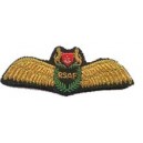 Wings Custom Embroidery Badge