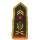 Military Officer Epaulettes And Shoulders Pair In Gold Wire