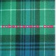 Cameron Tartan (54" width/wide) 