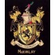 Family Coat of Arms Embroideries