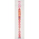 Practice Chanter made in cocus wood